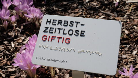 Infotafel im Botanischen Garten mit tastbarer Schwarzschrift und Braille